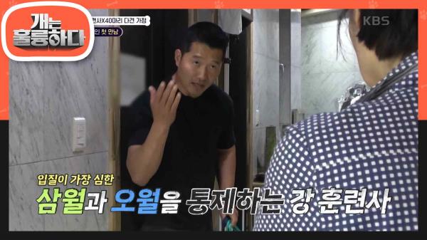 살얼음판 같은 짱순이네 하우스! 입질이 가장 심한 삼월과 오월을 통제하는 강 훈련사 | KBS 230529 방송