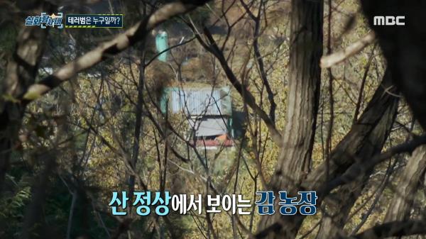 감 농장 테러범은 누구일까? 깊은 골짜기에 위치한 감 농장, MBC 231207 방송