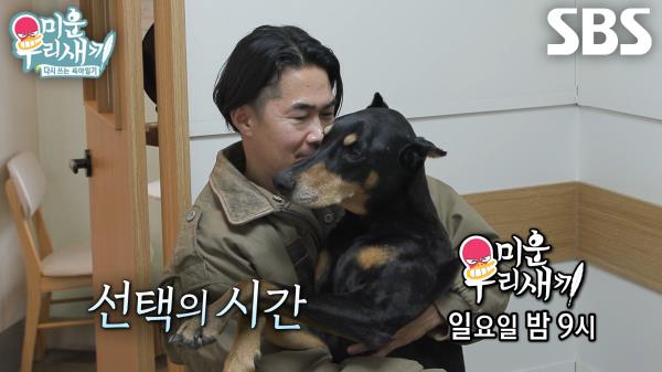 [4월 20일 예고] 배정남, 벨의 갑작스러운 쇼크로 주어진 선택의 시간