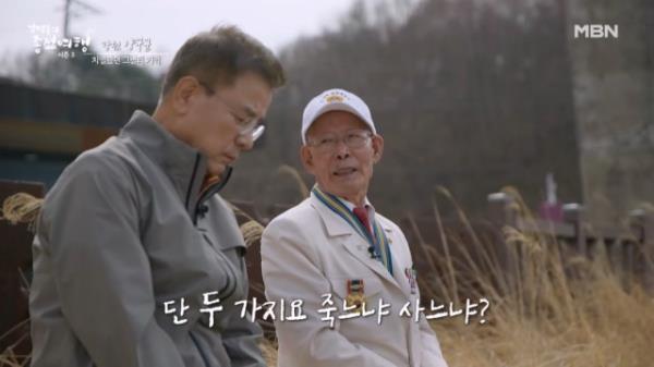 영광과 아픔의 역사를 간직한 '양구 전쟁기념관' 잊지 못할 그곳에서 만난 참전용사 MBN 250427 방송